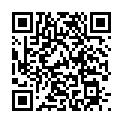 qr_20091117 qr_20091117